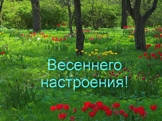 002.gif